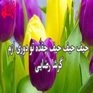 دانلود آهنگ آهنگ کی کی تو میشی از گرشا رضایی + متن ترانه