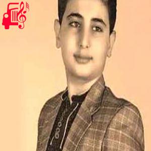 کاور آهنگ بیا بیا برگرد کنار من دوباره از صالح جعفر زاده + متن ترانه اثر صالح جعفر زاده