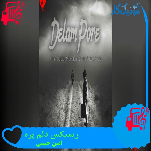 آهنگ ریمیکس دلم پره از امین حبیبی ریمیکس دلم پره
