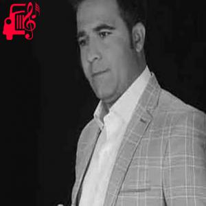 کاور آهنگ دلم تنگه مثل ابرای تیره از هادی منجی + متن ترانه اثر هادی منجی