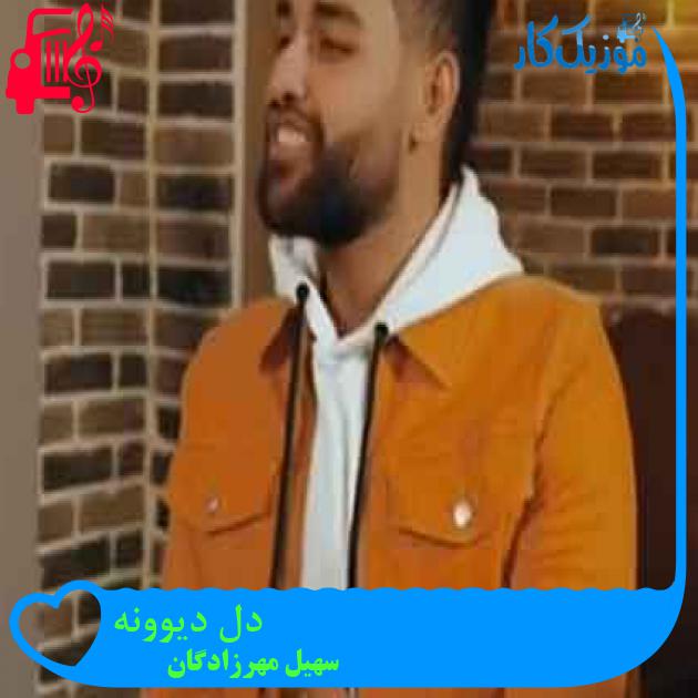 آهنگ دل دیوونه از سهیل مهرزادگان + متن ترانه