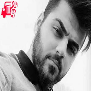 دانلود آهنگ آهنگ دلگیرم ازاین شهر از حسین عامری + متن ترانه