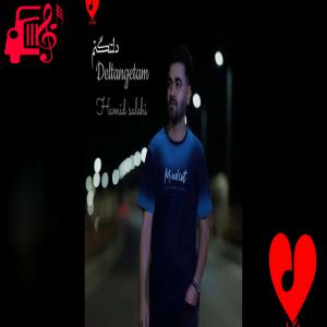 دانلود آهنگ دانلود آهنگ دلتنگتم حمید صالحی