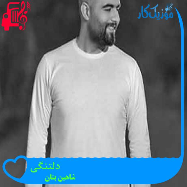 آهنگ دلتنگی از شاهین بنان + متن ترانه آهنگ دلتنگی از شاهین بنان + متن ترانه