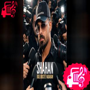 دانلود آهنگ آهنگ دیگه دوستت ندارم از شاهان