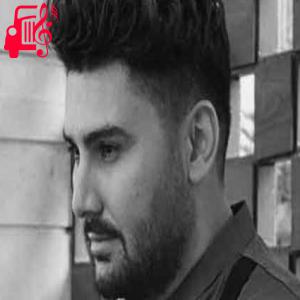 دانلود آهنگ آهنگ یه جوری جا وا کردی تو دل من از هاوش + متن ترانه