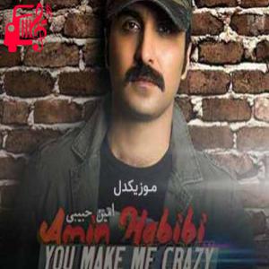 دانلود آهنگ آهنگ نفسم تویی همه کسم تویی از امین حبیبی + متن ترانه