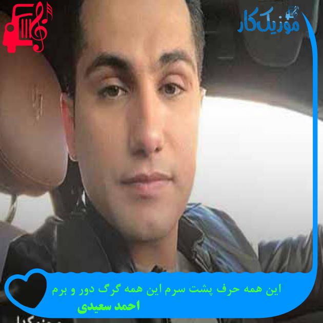 آهنگ این همه حرف پشت سرم این همه گرگ دور و برم از احمد سعیدی + متن ترانه