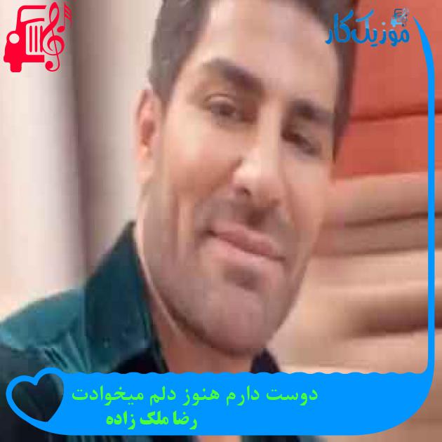 آهنگ دوست دارم هنوز دلم میخوادت از رضا ملک زاده + متن ترانه