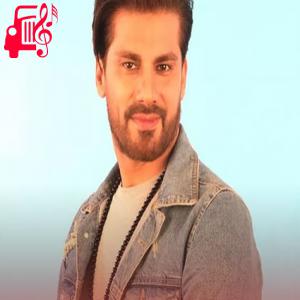 دانلود آهنگ آهنگ دل دیوونه خیلی وقته دنبال تو گشته از علی سفلی