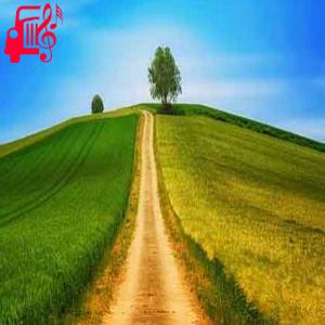 دانلود آهنگ آهنگ عشقیم یالان اولدی از علیرضا حسن زاده + متن ترانه