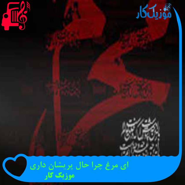 آهنگ ای مرغ چرا حال پریشان داری از موزیک کار + متن ترانه