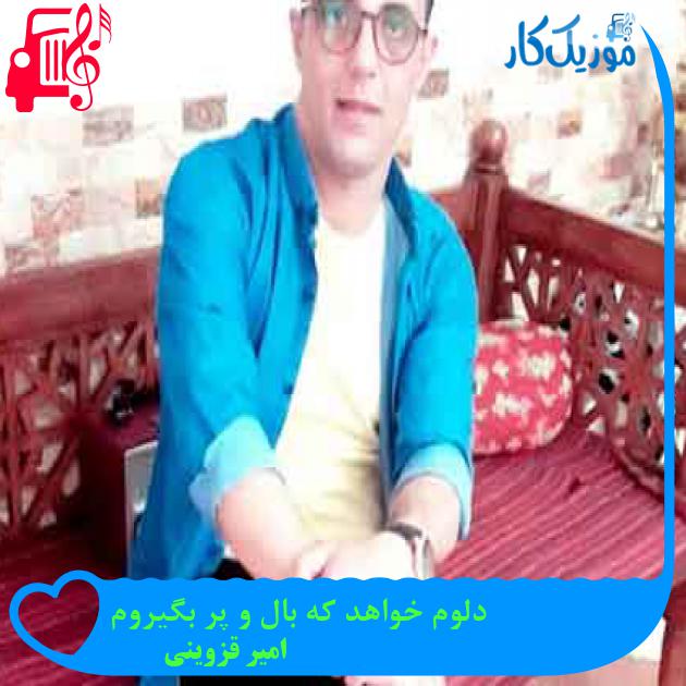 آهنگ دلوم خواهد که بال و پر بگیروم از امیر قزوینی + متن ترانه آهنگ دلوم خواهد که بال و پر بگیروم از امیر قزوینی + متن ترانه