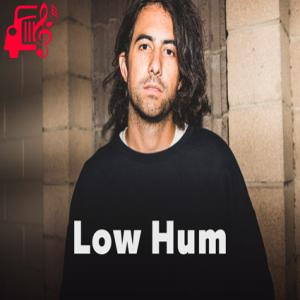 دانلود آهنگ آهنگ false reality از Low Hum