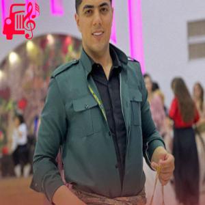 کاور آهنگ فانتزی از مسعود بیژندی اثر مسعود بیژندی