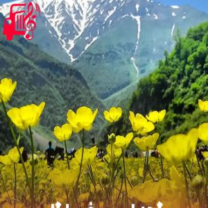 دانلود آهنگ آهنگ گجه لری یوخوما گل اوزونو گوروم از با صدای مرد + متن ترانه