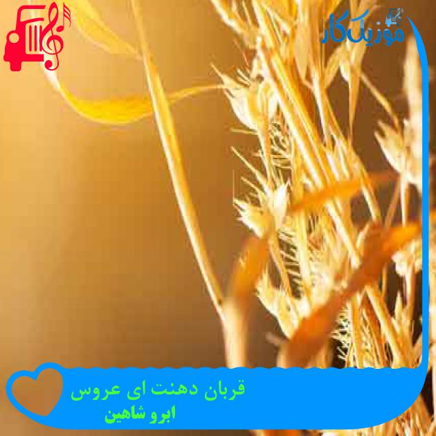آهنگ قربان دهنت ای عروس از ابرو شاهین + متن ترانه