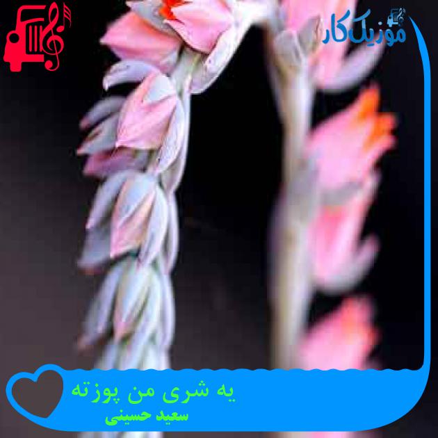 آهنگ یه شری من پوزته از سعید حسینی + متن ترانه