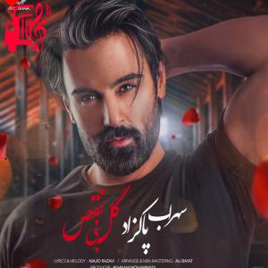 دانلود آهنگ دانلود آهنگ گل بی نقص من نفسام حبستن از سهراب پاکزاد { نسخه کامل } – موزیک کار