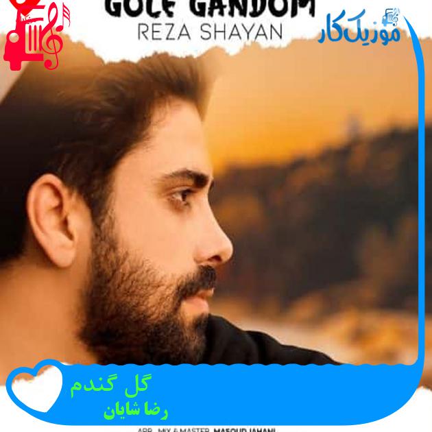 آهنگ گل گندم از رضا شایان + متن ترانه