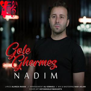 دانلود آهنگ آهنگ گل قرمز از ندیم + متن ترانه