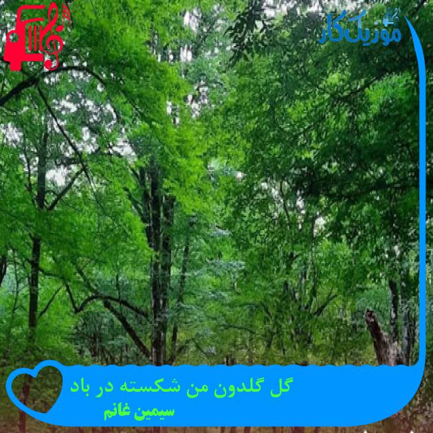 آهنگ گل گلدون من شکسته در باد از سیمین غانم + متن ترانه آهنگ گل گلدون من شکسته در باد از سیمین غانم + متن ترانه