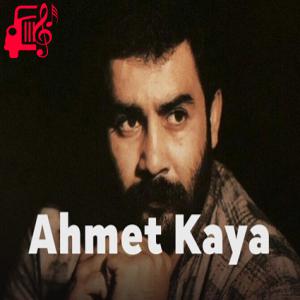 کاور آهنگ hadi sen git işine از احمد کایا + متن ترانه اثر احمد کایا