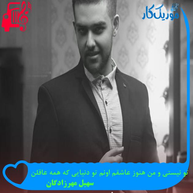 آهنگ تو نیستی و من هنوز عاشقم اونم تو دنیایی که همه عاقلن از سهیل مهرزادگان