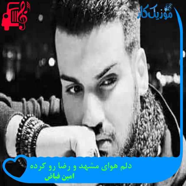 آهنگ دلم هوای مشهد و رضا رو کرده از امین فیاض + متن ترانه آهنگ دلم هوای مشهد و رضا رو کرده از امین فیاض + متن ترانه