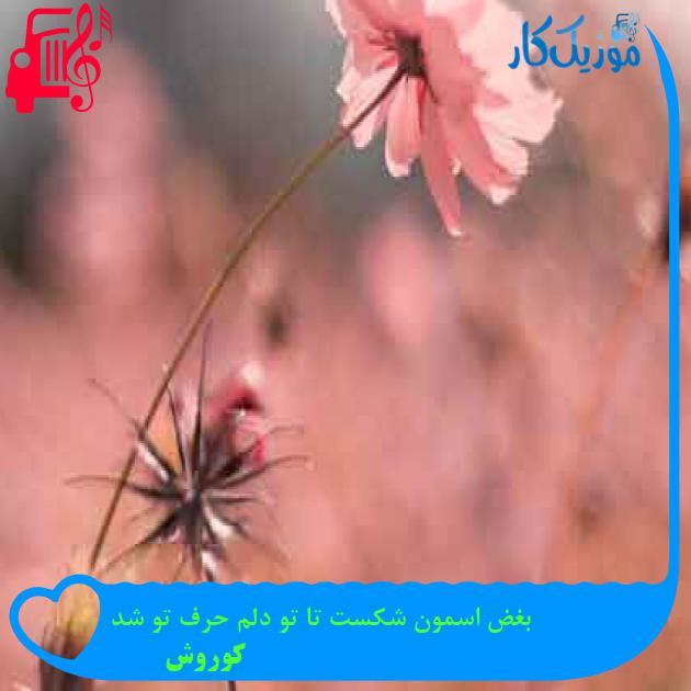 آهنگ تو به دنیا اومدی حتی خدا محو تو شد از کوروش + متن ترانه آهنگ تو به دنیا اومدی حتی خدا محو تو شد از کوروش + متن ترانه