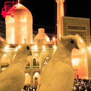 دانلود آهنگ آهنگ میخوام برم از رضا نیک فرجام + متن ترانه