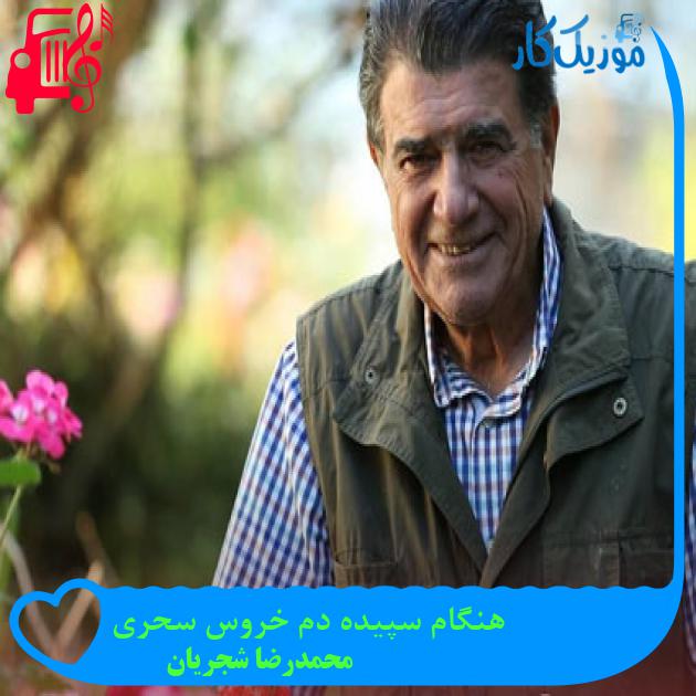 آهنگ هنگام سپیده دم خروس سحری از محمدرضا شجریان + متن ترانه