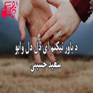 دانلود آهنگ آهنگ د باور نیکنم از سعید حسینی + متن ترانه