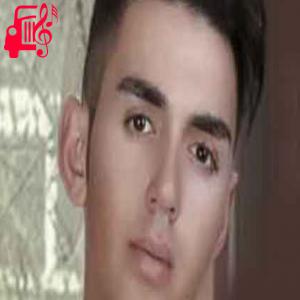 کاور آهنگ ایچیرم عاشق اورک پرپر اولان ساغلیغنا از علی ماهین + متن ترانه اثر علی ماهین