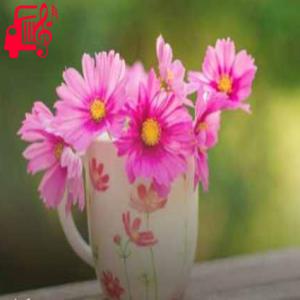 دانلود آهنگ آهنگ اینه به زیدت بگو باید مزه مرگ بچشه از موزیک کار
