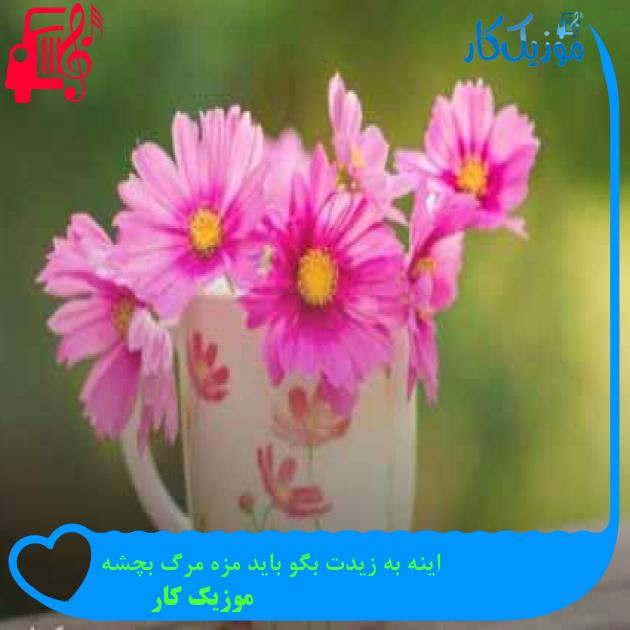 آهنگ اینه به زیدت بگو باید مزه مرگ بچشه از موزیک کار آهنگ اینه به زیدت بگو باید مزه مرگ بچشه از موزیک کار