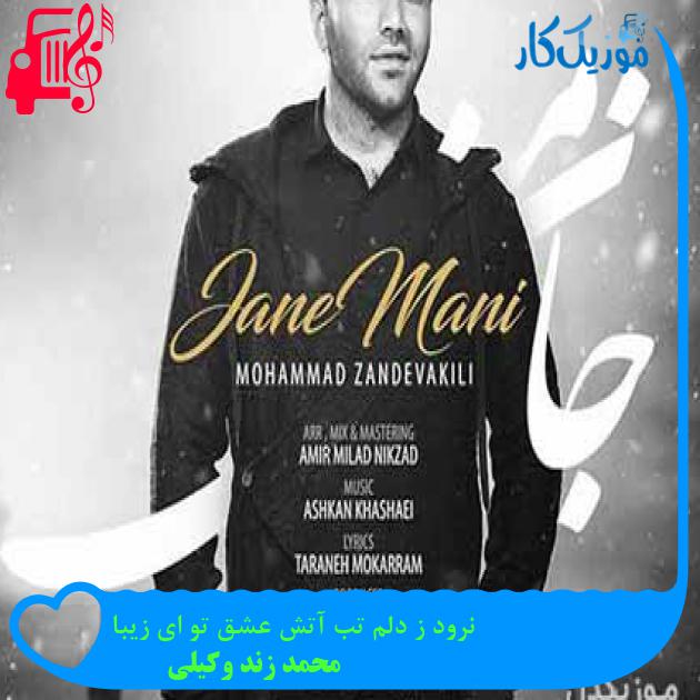 آهنگ نرود ز دلم تب آتش عشق تو ای زیبا از محمد زند وکیلی + متن ترانه
