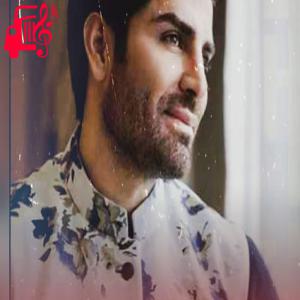 دانلود آهنگ دانلود آهنگ بارون هواتو داره واسش غریبه تنهاییامون از رضا ملک زاده | فرمت MP3
