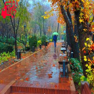 کاور آهنگ خارجی غمگین لالالالا لالالالا اینستاگرام از موزیک کار اثر موزیک کار