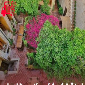 دانلود آهنگ آهنگ خیلی شکر هزار شکر از تمام اجراها + متن ترانه