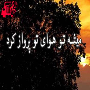 کاور آهنگ میشه تو هوای تو پرواز کرد از محمد کاظمی + متن ترانه اثر محمد کاظمی