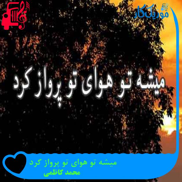آهنگ میشه تو هوای تو پرواز کرد از محمد کاظمی + متن ترانه آهنگ میشه تو هوای تو پرواز کرد از محمد کاظمی + متن ترانه