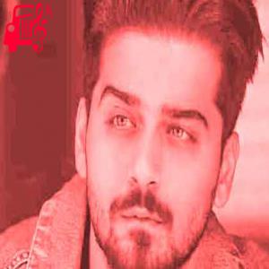 دانلود آهنگ آهنگ رگ و ریشه بزن از بردیا بهادر + متن ترانه