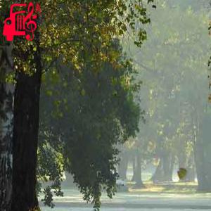 دانلود آهنگ آهنگ تو که نیستی هوا بهم ترس میده از رضا شیری + متن ترانه
