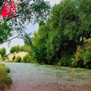 دانلود آهنگ آهنگ عزیزترینی یار دیرینی از موزیک کار