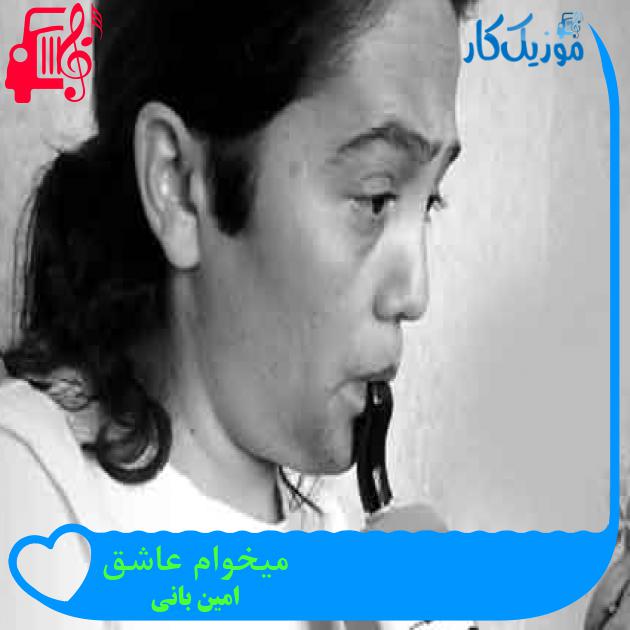 آهنگ میخوام عاشق از امین بانی + متن ترانه