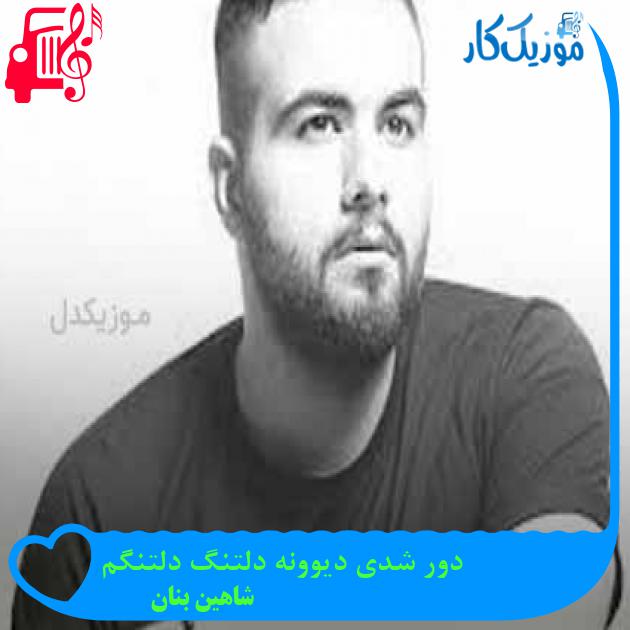آهنگ دور شدی دیوونه دلتنگ دلتنگم از شاهین بنان + متن ترانه آهنگ دور شدی دیوونه دلتنگ دلتنگم از شاهین بنان + متن ترانه