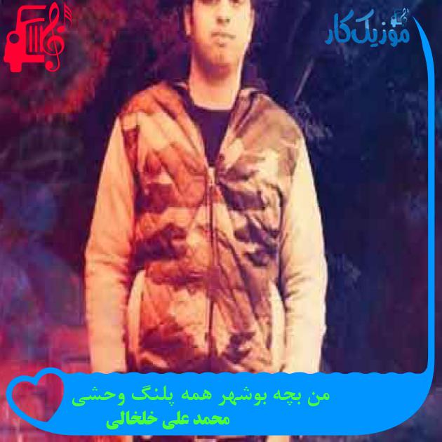 آهنگ من بچه بوشهر همه پلنگ وحشی از محمد علی خلخالی + متن ترانه آهنگ من بچه بوشهر همه پلنگ وحشی از محمد علی خلخالی + متن ترانه