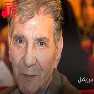 دانلود آهنگ آهنگ به تو میگم که نشو دیوونه ای دل از نادر گلچین + متن ترانه