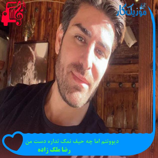 دانلود آهنگ دیوونتم اما چه حیف نمک نداره دست من از رضا ملک زاده MP3 دانلود آهنگ دیوونتم اما چه حیف نمک نداره دست من از رضا ملک زاده MP3
